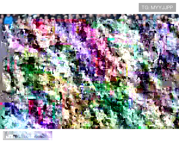 齐沃执掌圣吉罗斯联合继续高歌猛进稳居比甲榜首展现强大冠军威胁